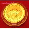 Kenguru 2017 1/10 uncia arany pénzérme