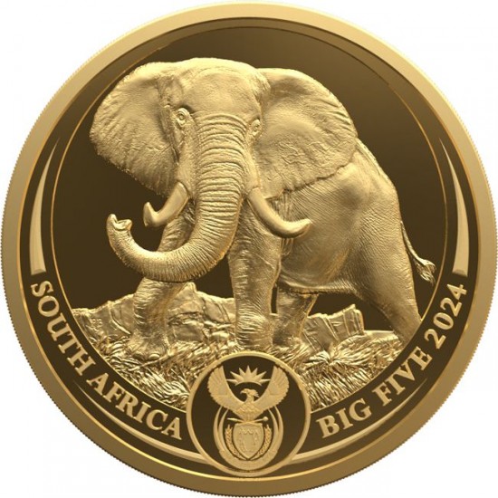 Big Five 3 - Az Öt Nagy - Elefánt 2024 1/4 uncia proof arany pénzérme - CSAK 2000 PÉLDÁNYBAN!