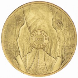 Big Five - Az Öt Nagy - Elefánt 2022 1 uncia arany pénzérme 