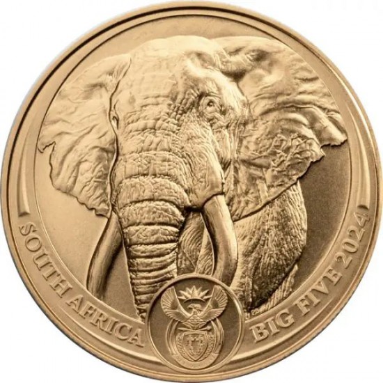 Big Five - Az Öt Nagy - Elefánt 2024 1 uncia arany pénzérme 