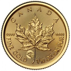 Maple Leaf 2025 1/10 uncia kanadai arany pénzérme - jegesmedve verdejellel