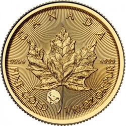 Maple Leaf 2026 1/10 uncia kanadai arany pénzérme - farkas verdejellel