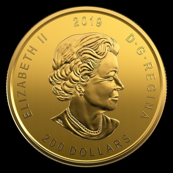 Jávorszarvas 2019 1 uncia 99,999 kanadai arany pénzérme