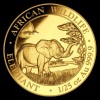 Szomália Elefánt 2019 1/25 uncia arany pénzérme