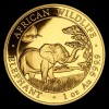 Szomália Elefánt 2019 1 uncia arany pénzérme