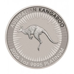 Kenguru 2026 1 uncia platina pénzérme