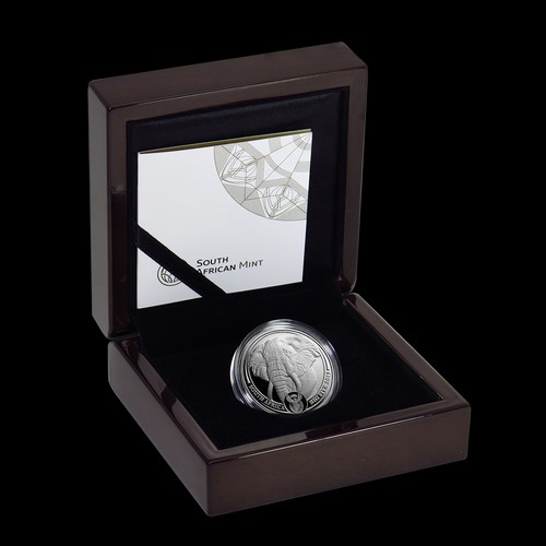 Big Five - Az Öt Nagy - Elefánt 2019 1 uncia proof platina pénzérme Big Five - Az Öt Nagy - Elefánt 2019 1 uncia proof platina pénzérme