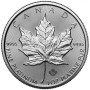 Maple Leaf Juharlevél 2024 1 uncia platina pénzérme