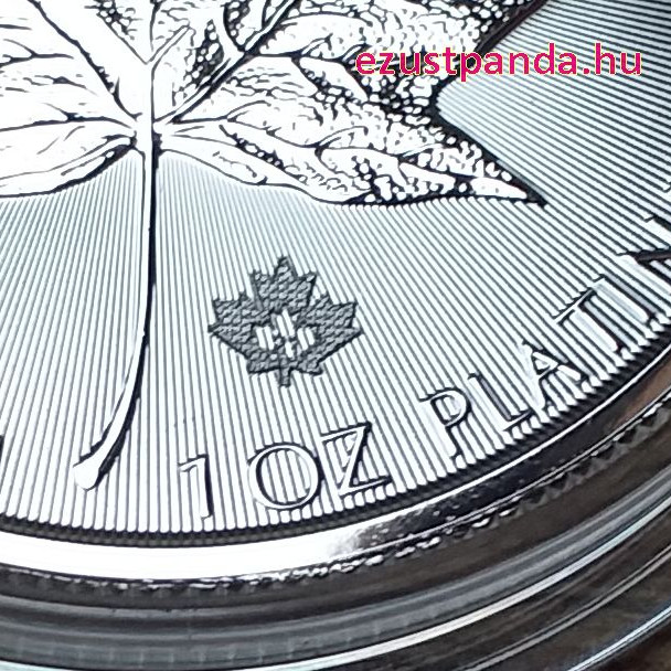 Maple Leaf Juharlevél 2024 1 uncia platina pénzérme