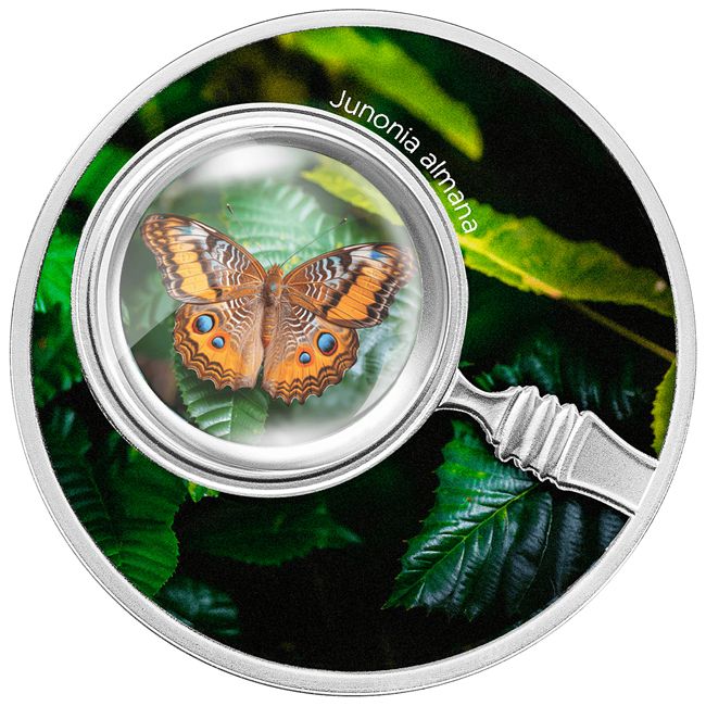Lepke "Junonia almana" Kamerun 2024 ezüst pénzérme - CSAK 555 példány! Lepke "Junonia almana" Kamerun 2024 ezüst pénzérme - CSAK 555 példány!