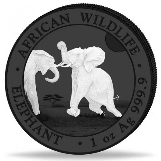 Szomália Elefánt 2024 "Fekete és Fehér" 2x1 uncia ruténiummal bevont ezüst érmeszett