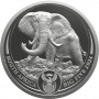 Big Five 3 - Az Öt Nagy - Elefánt 2024 1 uncia ezüst érme Dél-Afrika