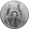 Big Five 3 - Az Öt Nagy - Elefánt 2024 1 uncia ezüst érme Dél-Afrika