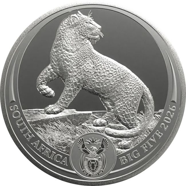 Big Five 3 - Az Öt Nagy - Leopárd 2026 1 uncia ezüst érme Dél-Afrika