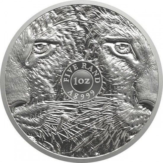 Big Five 3 - Az Öt Nagy - Leopárd 2026 1 uncia ezüst érme Dél-Afrika