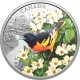 Oriole - narancstrupiál madár 2025 1 uncia kanadai proof ezüst pénzérme Oriole - narancstrupiál madár 2025 1 uncia kanadai proof ezüst pénzérme