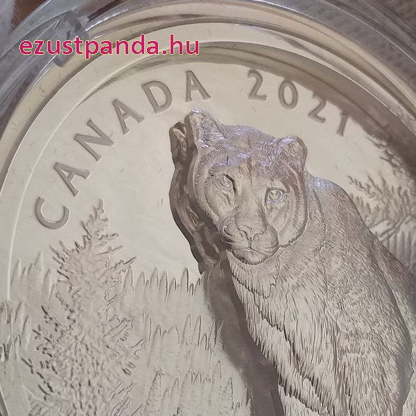 Puma 2021 105,6 gramm kanadai proof ezüst pénzérme - KÉTRÉTEGŰ VERET! Puma 2021 105,6 gramm kanadai proof ezüst pénzérme - KÉTRÉTEGŰ VERET!
