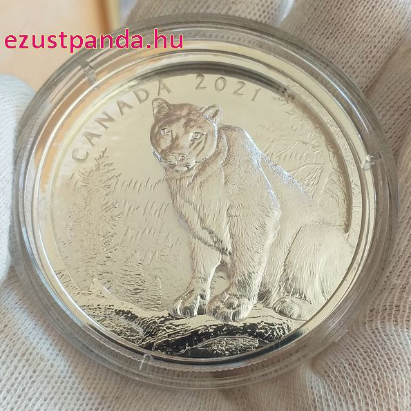 Puma 2021 105,6 gramm kanadai proof ezüst pénzérme - KÉTRÉTEGŰ VERET! Puma 2021 105,6 gramm kanadai proof ezüst pénzérme - KÉTRÉTEGŰ VERET!