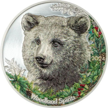 Medve Mongólia 2024 színes proof ezüst pénzérme - CSAK 1500 PÉLDÁNY!