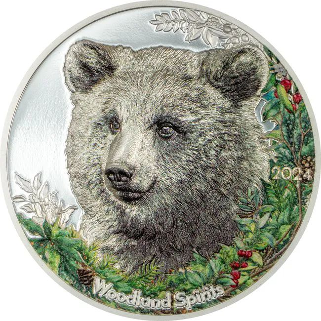 Medve Mongólia 2024 színes proof ezüst pénzérme - CSAK 1500 PÉLDÁNY!