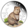 Quokka 2024 1 uncia ausztrál színes ezüst pénzérme díszdobozban  