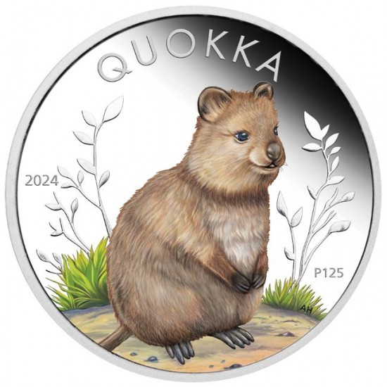 Quokka 2024 1 uncia ausztrál színes ezüst pénzérme díszdobozban  