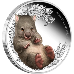 Bush Babies2 - Wombat 2013 1/2 uncia színes ezüst pénzérme