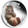 Bush Babies2 - Wombat 2013 1/2 uncia színes ezüst pénzérme