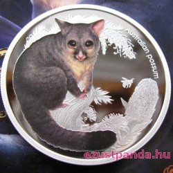 Bush Babies2 - Oposszum kölyök 2013 1/2 uncia színes ezüst pénzérme