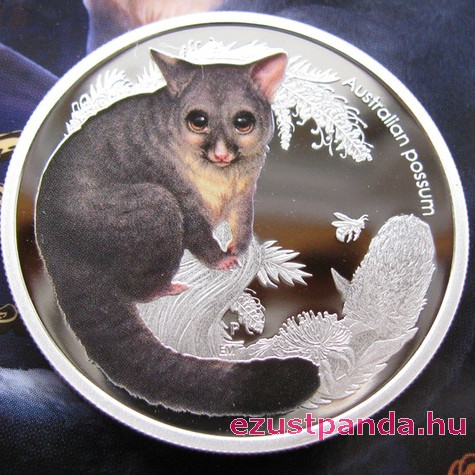 Bush Babies2 - Oposszum kölyök 2013 1/2 uncia színes ezüst pénzérme Bush Babies2 - Oposszum kölyök 2013 1/2 uncia színes ezüst pénzérme