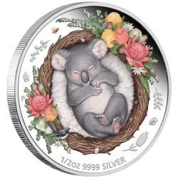 Álmodó állatkák - Koala 2021 1/2 uncia színes ausztrál ezüst pénzérme
