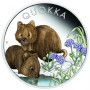 Quokka 2023 1 uncia ausztrál színes ezüst pénzérme díszdobozban  
