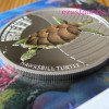 Korallzátony - Cserepesteknős 2011 1/2 uncia színes ezüst pénzérme