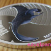 Korallzátony - Ördögrája 2012 1/2 uncia színes ezüst pénzérme