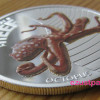 Korallzátony - Polip 2012 1/2 uncia színes ezüst pénzérme