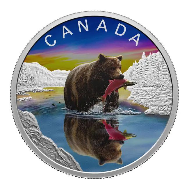 Tükröződés - Grizzlymedve 2024 1 uncia kanadai proof ezüst pénzérme