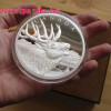 Bőgő Szarvas / Wapiti-Elk 2017 0,5 kg proof ezüst pénzérme