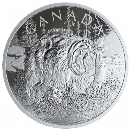 Grizzly 2019 0,5 kg proof ezüst pénzérme