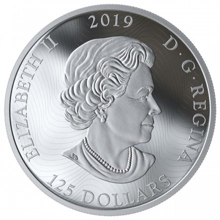 Grizzly 2019 0,5 kg proof ezüst pénzérme