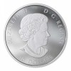 Uhu bagoly 2019 2 uncia kanadai proof ezüst pénzérme hologrammal