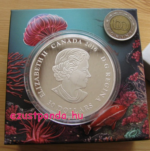 Korallzátony 2016 2 uncia kanadai proof ezüst pénzérme, UV-lámpával Korallzátony 2016 2 uncia kanadai proof ezüst pénzérme, UV-lámpával
