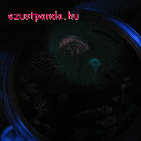 Korallzátony 2016 2 uncia kanadai proof ezüst pénzérme, UV-lámpával Korallzátony 2016 2 uncia kanadai proof ezüst pénzérme, UV-lámpával