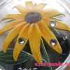 Black-Eyed Susan virág 2015 1 uncia proof ezüst pénzérme Swarovski kristályokkal Black-Eyed Susan virág 2015 1 uncia proof ezüst pénzérme Swarovski kristályokkal