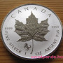 Maple Leaf 2014 1 uncia fordított proof ezüst pénzérme "Ló éve" verdejellel