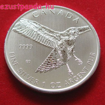 Rőtfarkú ölyv / Red-tailed hawk 2015 1 uncia ezüst pénzérme
