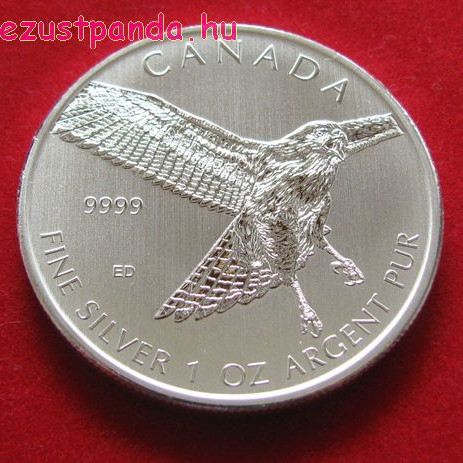 Rőtfarkú ölyv / Red-tailed hawk 2015 1 uncia ezüst pénzérme Rőtfarkú ölyv / Red-tailed hawk 2015 1 uncia ezüst pénzérme