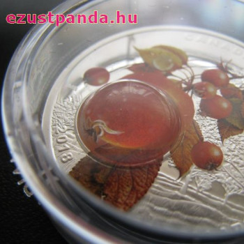 Nagyítás: Reggeli harmat - 2017 1 uncia kanadai proof ezüst pénzérme Nagyítás: Reggeli harmat - 2017 1 uncia kanadai proof ezüst pénzérme