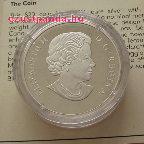 Murano-i üveg bogár 1 uncia 2017 kanadai proof ezüst pénzérme Murano-i üveg bogár 1 uncia 2017 kanadai proof ezüst pénzérme