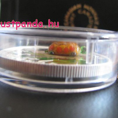 Murano-i üveg teknős 1 uncia kanadai proof ezüst pénzérme