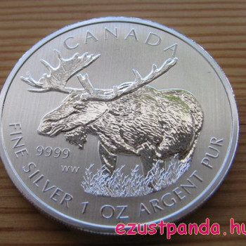 Jávorszarvas / Moose 2012 1 uncia ezüst pénzérme